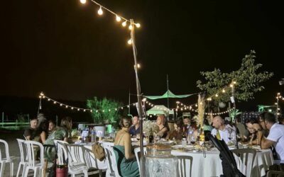 Vacances de Noël : les stages