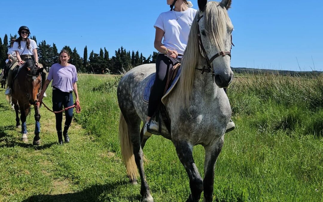 Rentrée 2026-2027 : les inscriptions aux cours d&rsquo;équitation sont ouvertes à l&rsquo;Écurie de Launac !