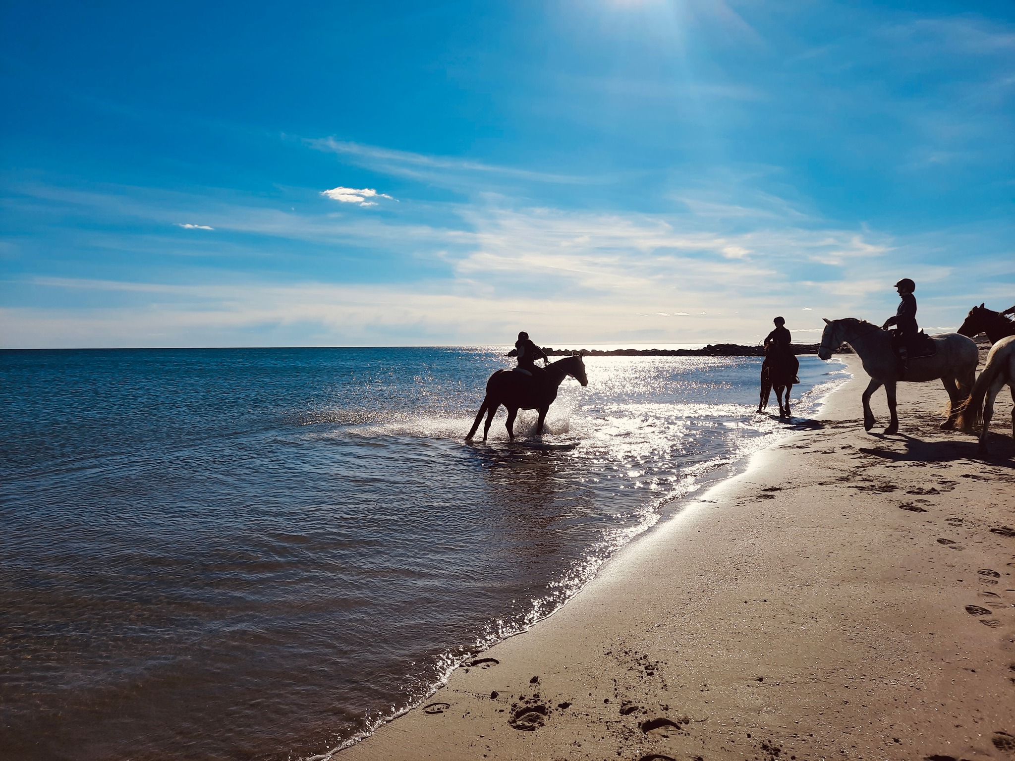 balades à cheval à la plage avec l'écurie de Launac