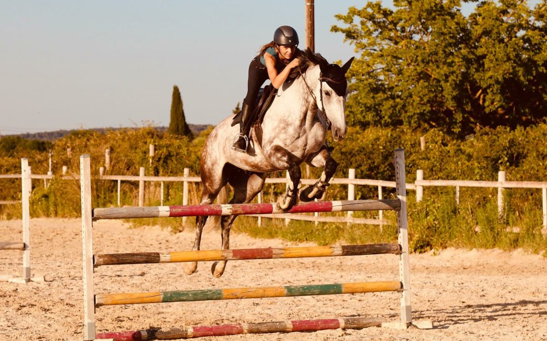 stages et concours
