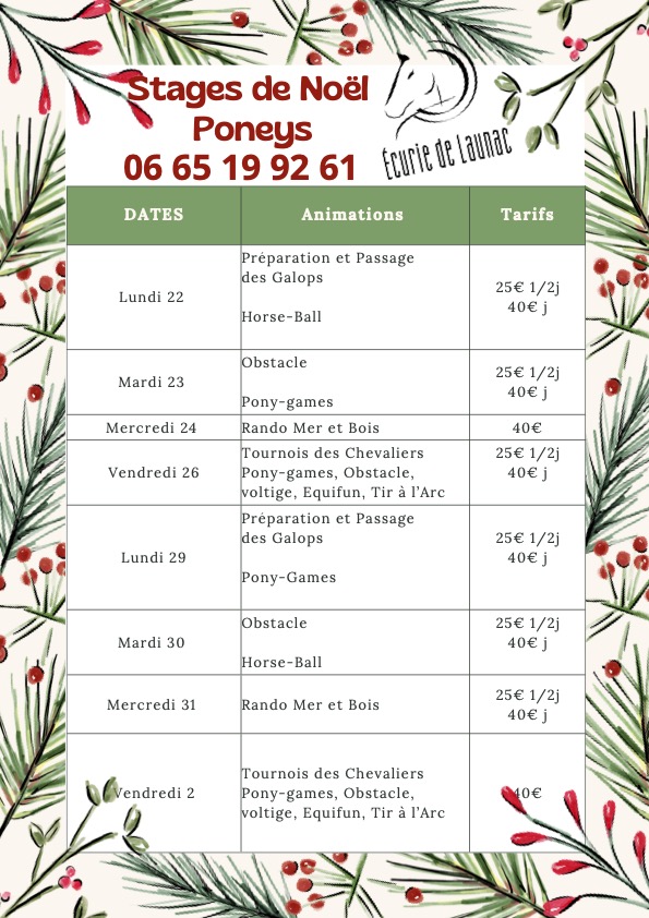 stages pour les vacances de noel 